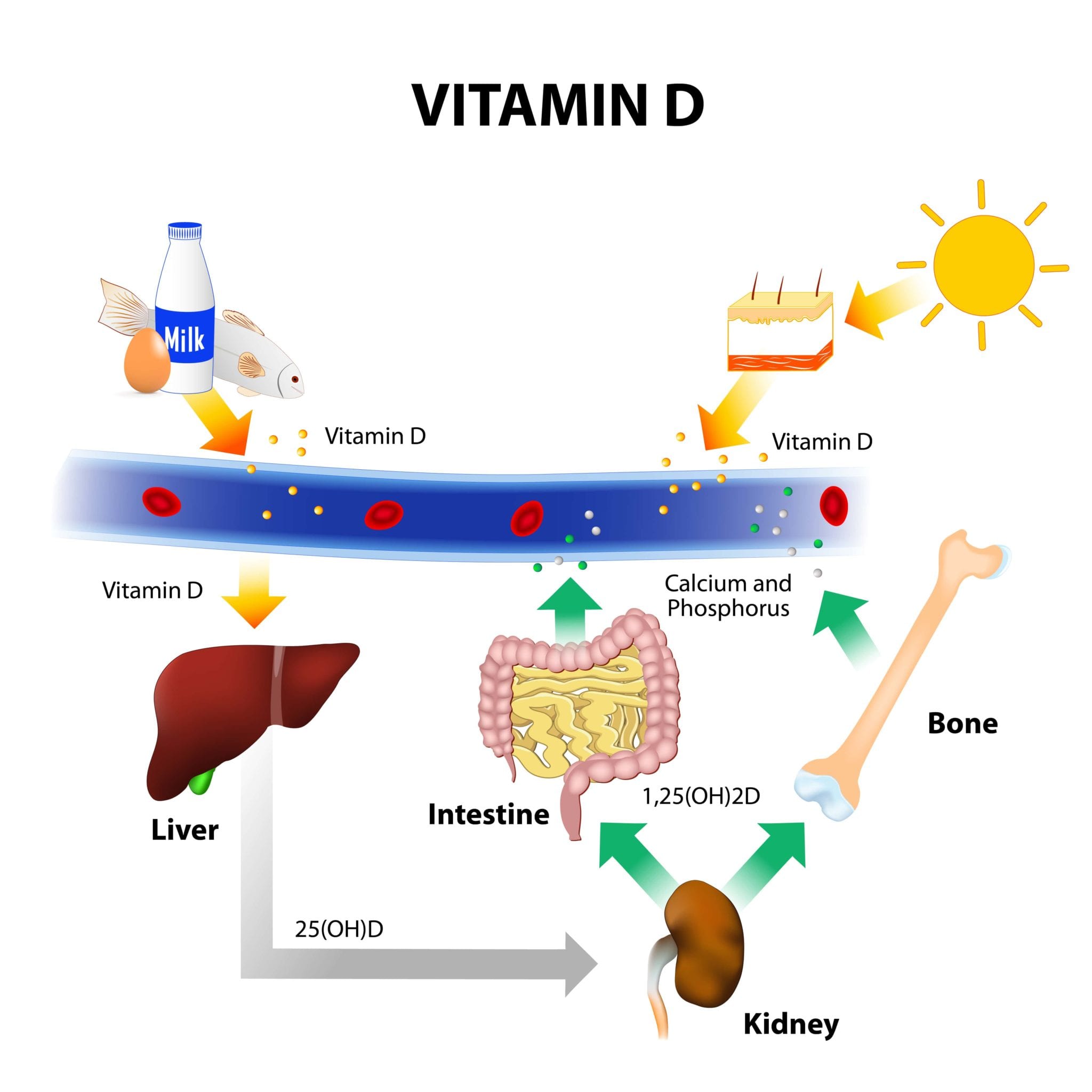 Vitamin D And Dental Implants Understanding The Connection vitamin-d-and-dental-implants-understanding-the-connection